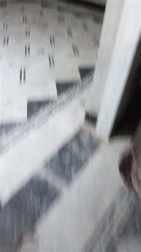 Understanding Ceiling Designs and Their Functions