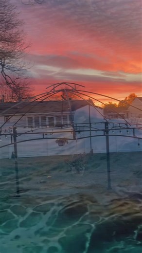 Tania Karina Bustama (@taniakarinabustam)’s videos with sonido original - Tania Karina Bustama