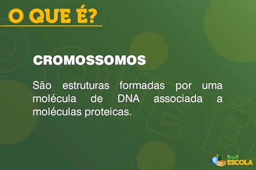 O que é cromossomo? - Brasil Escola