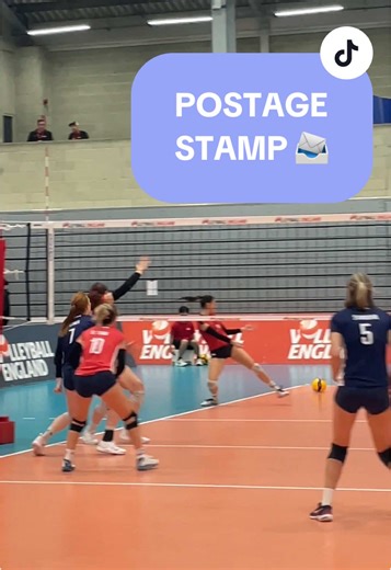 Perfect Volleyball Placement by Lionhearts Vinarius