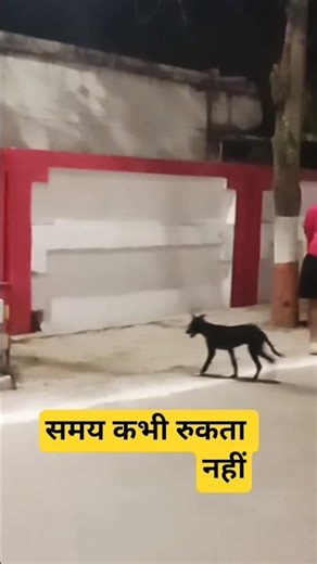 ❤️ ए वक्त रुक जा 💥 #viral #shorts #trending #yoitubeshorts #motivation