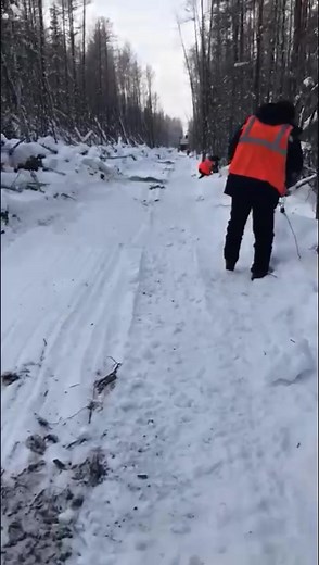 Сесьма в работе.