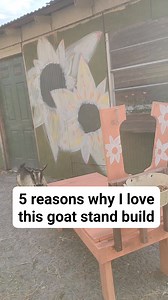2.9K views | 5 reasons why I love my goat stand build ️ 1. I can...