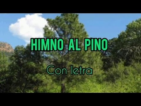 Himno al Pino Árbol Nacional/Con letra