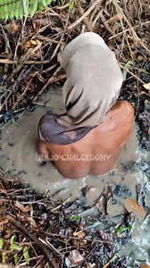 So Many Stones | Muhammad Krista