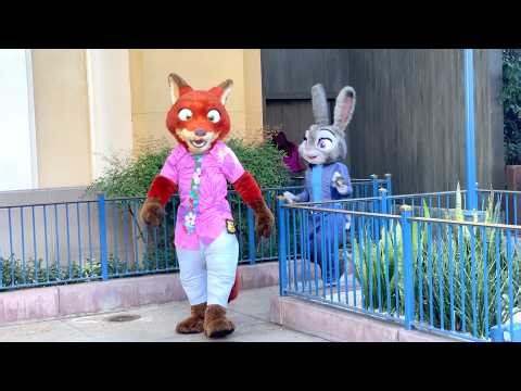 Nick Wilde & Judy Hopps Interacting w/Guests at Disney California Adventure Zootopia 2 Meet & Greet