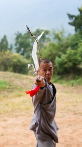 196K views · 9.1K reactions | The nine-section whip is a weapon...