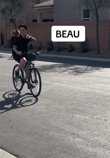 Out here riding dirty with Beau. #puptok ##doglovers #dogstagram #dogsofinstagram #puptiktok