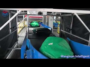 Singulator/Singulation Conveyor