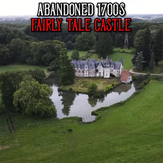 Owner died in a car accident.. | Bros of Decay