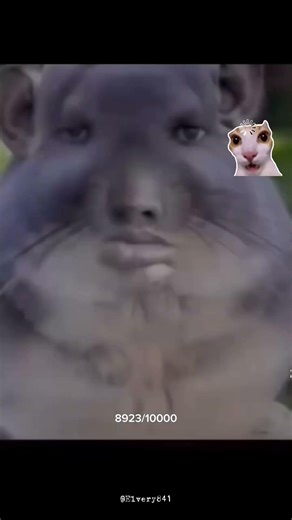 Fortnite 😑 #fortnite #fortniterisas #fortniteespanol #memes #xd #funny #gracioso #shorts