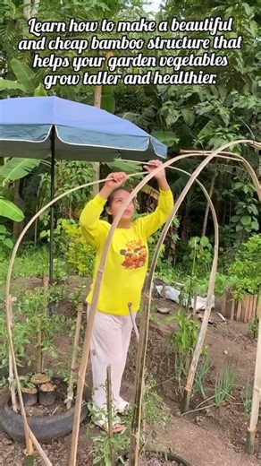 How To Build An Easy Bamboo Garden Arch