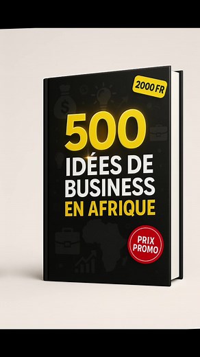 500 idées pour lancer un business en Afrique