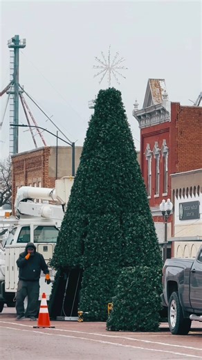 LADIES AND GENTLEMEN, we present the newest Scribner landmark… built with determination and so much Christmas cheer it practically shouts “it’s beautiful Clark.” Our city elves have been busy all morning, building Christmas magic with the kind of jolly determination that would make even Clark Griswold proud. And if you ever wondered how long it takes to put together a brand new 18' tree, the answer is three men and five hours of pure holiday grit. After watching how they anchored that sucker to 