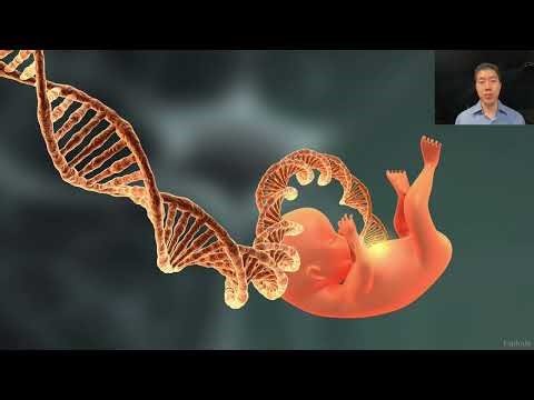 Base editing of SMN2 gene restores production of SMN protein, curing spinal muscular atrophy in mice