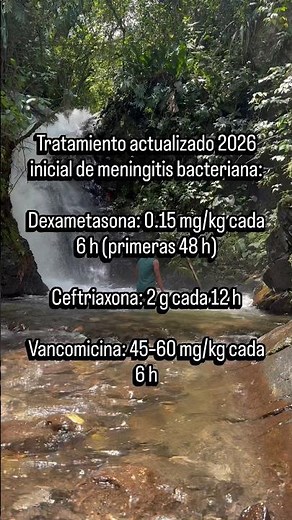 TRATAMIENTO ACTUALIZADO (2026) MENINGITIS