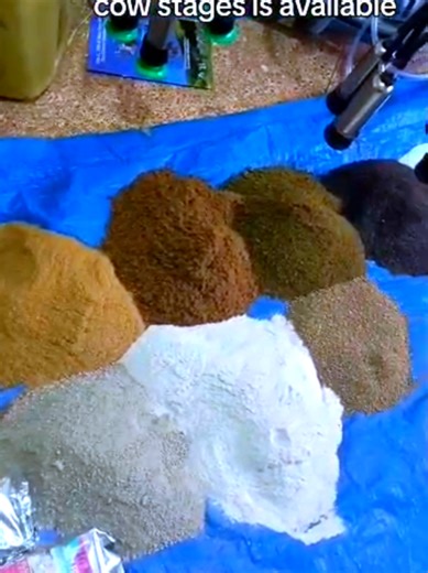 Mindset Change Model Farm Ltd (@mabulirosekandi0)’s videos with original sound - Mindset Change Model Farm Ltd