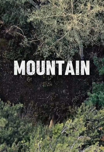 ⛰️ The time we made an elk hunt the music video…. In the mountains is where I learned some of my greatest lessons while bowhunting along side my dad and brothers it only felt to make this song about some of those lessons. 🎵 The Mountain by Shafer & Elle Harpers #bowhunting #elkhunting #hunter #artist #elk