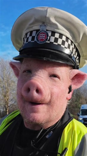 Police Stop for Motorcycle Registration and Exhaust Issues