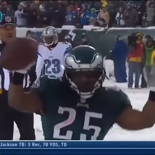 Brotherly Love Nation on Instagram: "On This Day: December 8, 2013 the INFAMOUS Snow Bowl took place, where the Eagles beat the Lions 34-20."