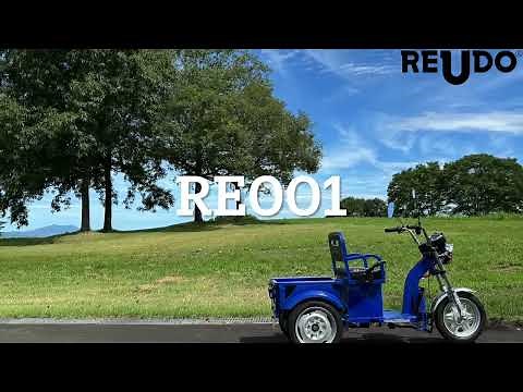 電動三輪車 RE001 (特定小型原付モデル) の紹介