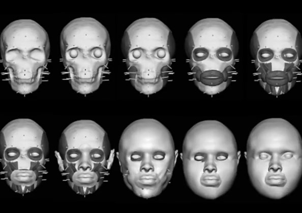 Forensic Art Flashes ⚡️ Digital forensic facial reconstruction. Enjoy the process! #forensic #forensics #forensicscience #science #process #progress #wip #art #artist #arte #artistsoftiktok #artwork #arttok #forensicreconstruction #reconstruction #forensicart #forensicartist #forensicartists #ncmec #missingperson #foundremain #foundremains #truecrime #truecrimetiktok #truecrimecommunity #truecrimetok #truecrimestory #police #investigator #investigation #investigations #evidence
