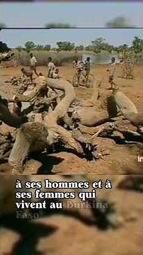 Thomas Sankara : Le révolutionnaire