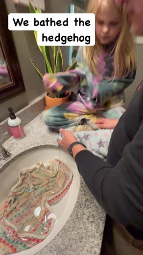 790K views · 10K reactions | Pippa’s new pet hedgehog Peachy got its...
