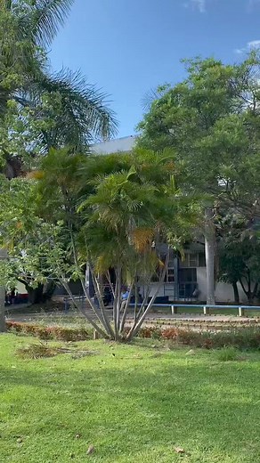 ¡Atención pumitas! Curso introducción a la vida universitaria. | Presencia Universitaria - Periódico UNAH