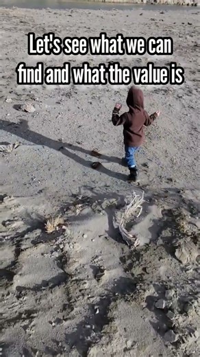 Wyoming rock hunting