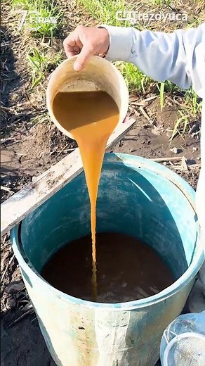 ¿Cómo aplicar el BIOFISH en tu parcela?