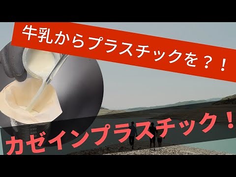 牛乳からプラスチックを？！カゼインプラスチック！【化学実験】