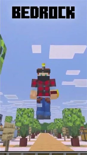 Minecraft Java VS Bedrock ( Courir )