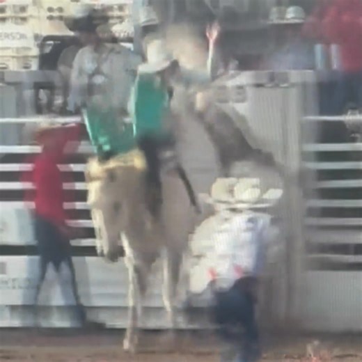 There's just something about a Big Grey and Barnes PRCA Rodeo's D11 Dapper Dan, consigned in Benny Binion's World Famous NFR Bucking Horse & Bull Sale, is one that will grab your attention. With an impressive 46 stock score (23/23) earlier this summer, this 8yr old gelding is stout built, bucks hard, and will test any rider. Marty Barnes & Westin Barnes don't sell horses very often... in fact it's a very rare occasion. The last time they consigned a horse in Benny Binion's Sale was 2018 when the