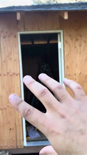 Shed complete “for now” (part 7)