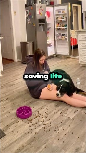 Service Dog Saves Girl During Emergency!