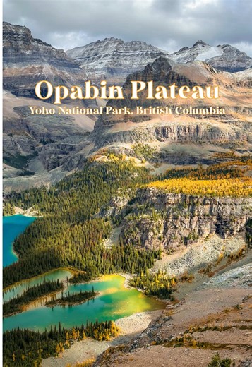 Opabin Larch Magic 🍂💛✨ Golden larch meadows, turquoise tarns, mountain walls. This was my third time up in the O’hara area. Never gets old… Fall here is amazing!🤩 ✨Trail Highlights • All the lakes at the plateau (Opabin, Hungabee, Moor, and Cascade) • Larchs glowing gold through the valley • Mount Yukness (2847m), Mount Hungabee (3492m), Mount Biddle (3320m) 📊Trail, Stats & Details • Trail: Opabin Plateau, Yoho National Park (Just part of a circuit we did including Lake O’hara, Opabin Platea