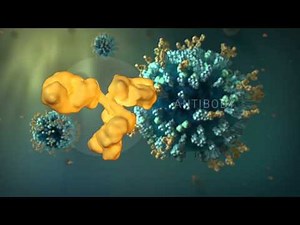 FluFacts: Dynamic 3D Visualizations of Seasonal Influenza