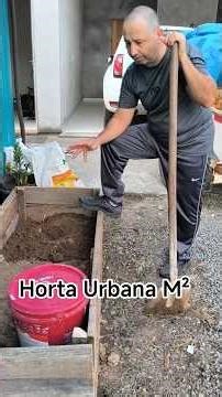 Horta Elevada, Aproveitamento de Espaço, Horta Urbana, Planta Companheiras #sitioportaldaluz