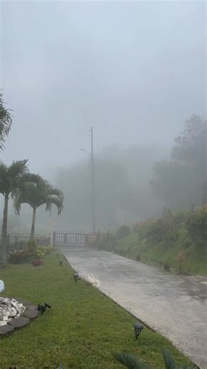 Desde Aibonito por Lilian Moreno | Deborah Martorell