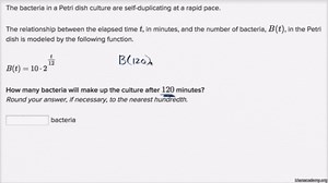 Exponential model word problem: bacteria growth
