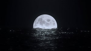 Loop Full moon at night on floats in black water