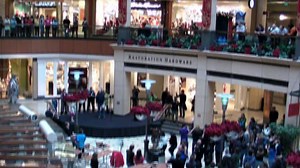 Seattle Dance Flash Mob - Safety Dance