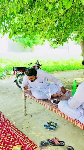 Dani dayal on TikTok