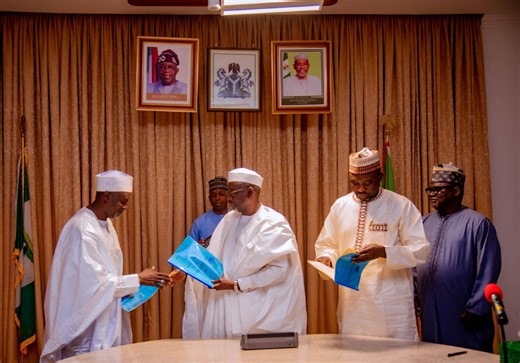 Nigeria: 100MW solar panel assembly factory on the cards - ESI-Africa.com