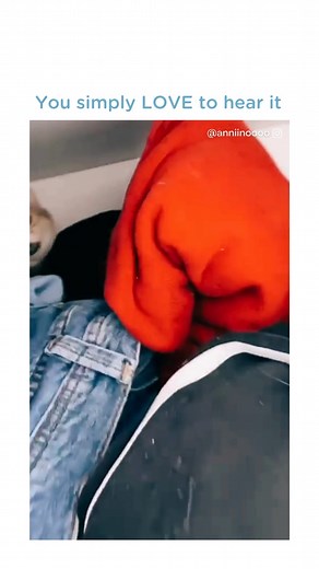 A cute iteration of the Cat Activation Noise 🥺 - 🎥: instagram.com/anniinoooo | Meowingtons