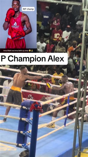 Honoring Champion Alex: A Tribute Video