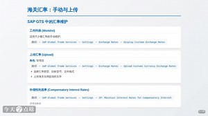 SAP GTS模块：第9讲 特殊海关程序：保税仓库与加工贸易