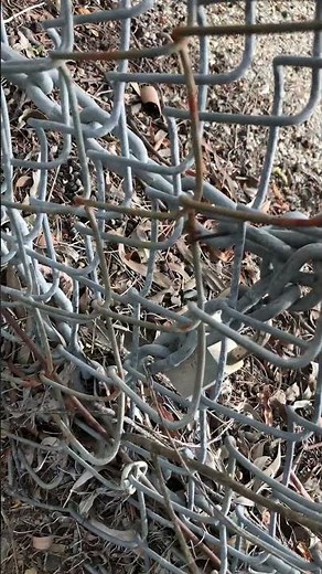 How to Fix a Chain Link Fence | No Fuss