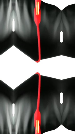 Comprehensive Diploma Course List for Career Growth